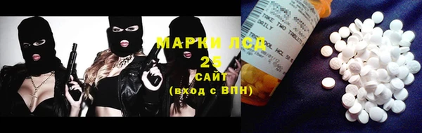 ешки Новодвинск