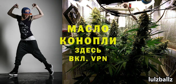 ешки Новодвинск