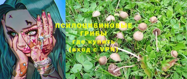 mdma Новокубанск