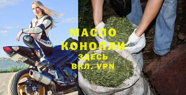 ешки Новодвинск