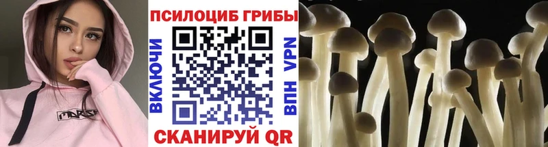 Псилоцибиновые грибы прущие грибы  Шлиссельбург 